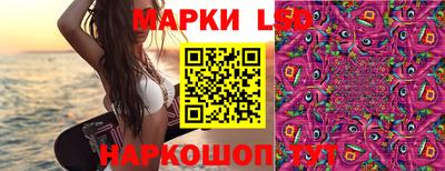 твердый Лесосибирск