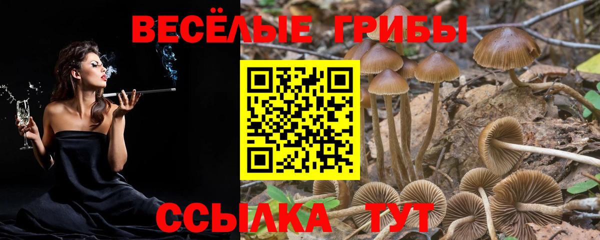 Галлюциногенные грибы Magic Shrooms Волжский