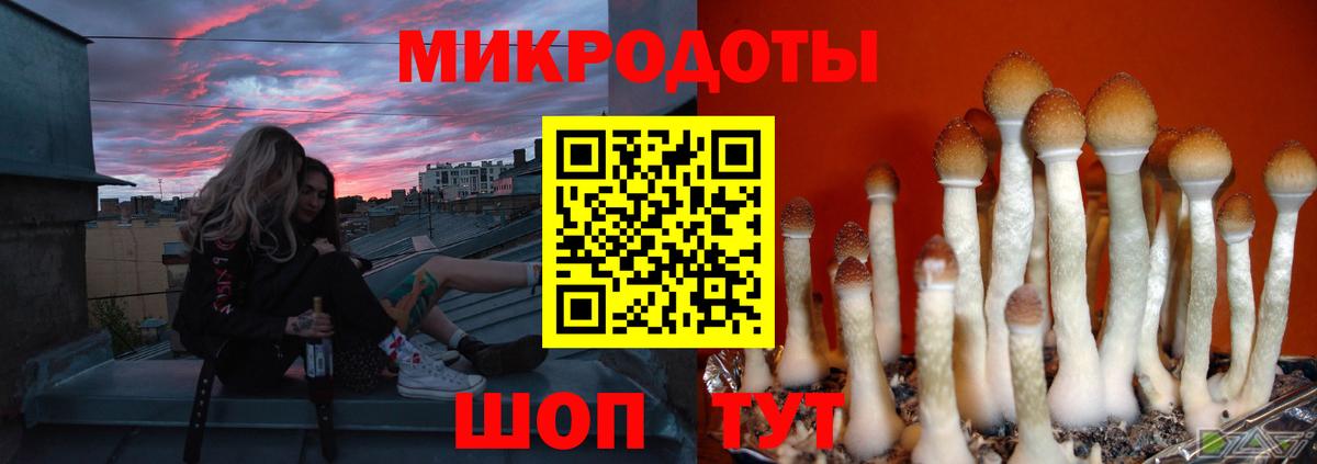 где продают наркотики  Вход с VPN  Волжский  Псилоцибиновые грибы GOLDEN TEACHER 